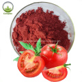 Natural Antioxidant Lycopene Powder